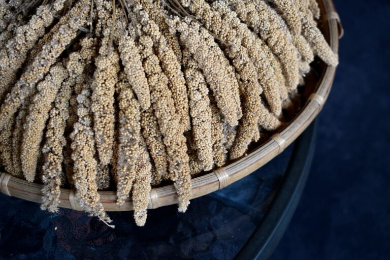 Ist Hirse gesund – goldene Hirse Körner
